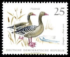 EBS East Germany DDR 1968 – Small Game Animals – Michel 1357-1362 – MNH**
