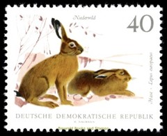 EBS East Germany DDR 1968 – Small Game Animals – Michel 1357-1362 – MNH**