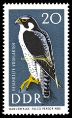EBS East Germany DDR 1967 – Protected Birds – Michel 1272 1277 – MNH**