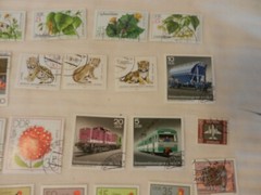 Lot of 36 East Germany Stamps from 1978-1982 Animals, Ships, Roosters, More