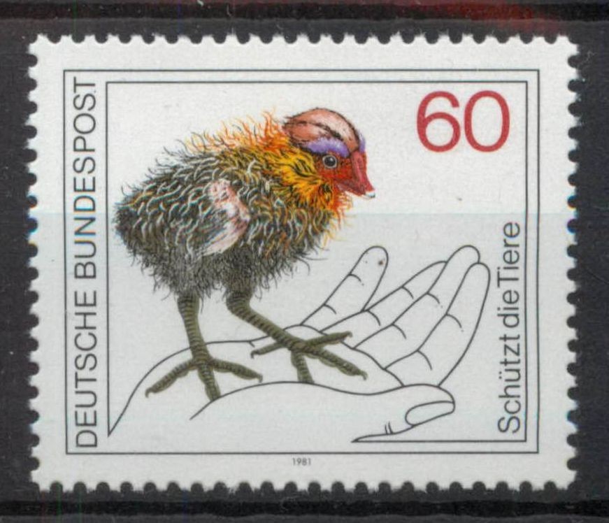 Germany 1981 Baby Black Coot bird SG 1966 MNH mint *COMBINED POSTAGE
