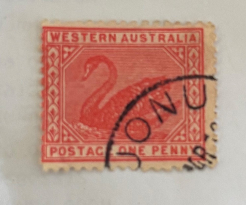 Rare Black Swan 1d Red postage stamp 1854-1855 in fair condition