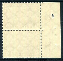 GERMANY 1933 498 ** MNH FLAWLESS pair with PASSER CROSS (Z5828