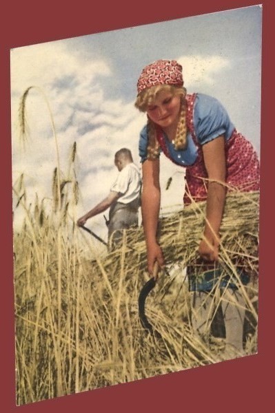 German WW2 Third Reich Artist Postcard Harvest Time