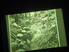 WWII WW2 German Military Photos 24 War Slides w Viewer Battle Combat Shots