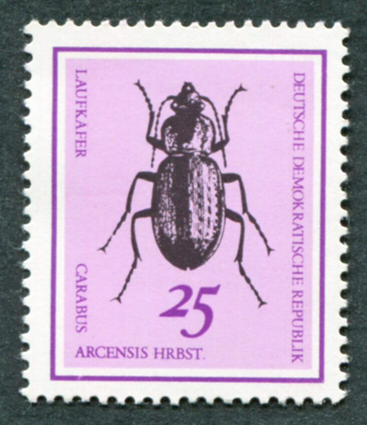 GERMANY East DDR 1968 25pf SGE1135 mint MNH FG Beetles Carabus arcensis b #B05