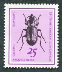 GERMANY East DDR 1968 25pf SGE1135 mint MNH FG Beetles Carabus arcensis b #B05