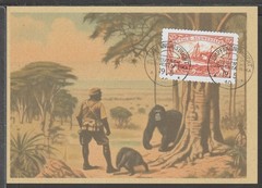 ✔️ Deutsches Reich Colonies 1910 South-West Africa RARE POSTCARD – REPRODUCTION