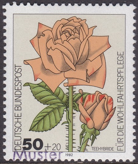 Specimen, Germany ScB600 Flower, Rose, Tea-rose Hybrid