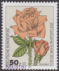 Specimen, Germany ScB600 Flower, Rose, Tea-rose Hybrid