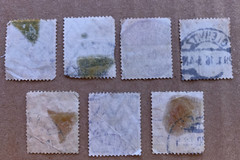 German Realm ~ Deutsches Reich 7 Stamps Early 1900’s