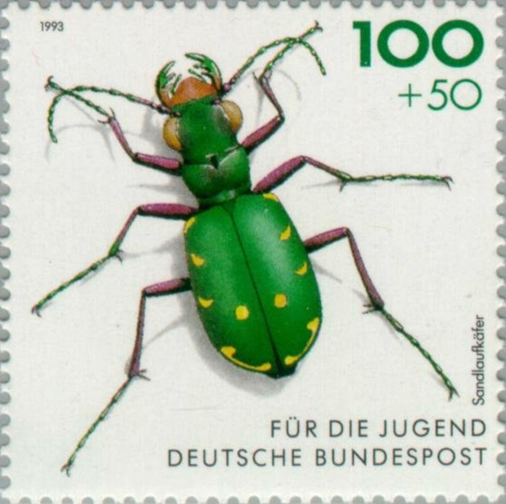 BRD FRG #Mi1669 MNH 1993 Green Tiger Beetle Cicindela Campestris [B748]