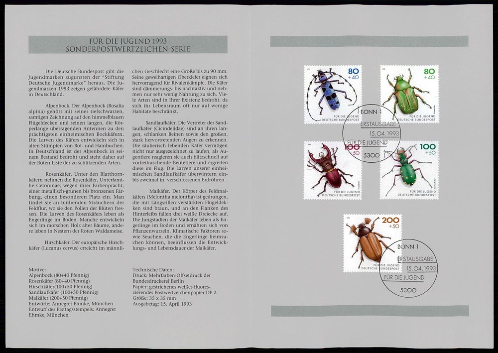 GERMANY FOLDER 1993/13 FAUNA INSECTS BEETLE