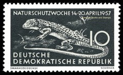 EBS East Germany DDR 1957 – Protect Nature Week – Michel 561-563 – MNH**