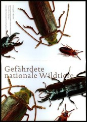 GERMANY MINISTER CARD 2021 FAUNA – BEETLE – BIG SIZE !!! VERY RARE!! u1176