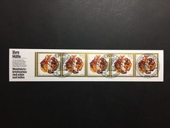 GERMANY STAMP BOOKLET 1989 RED CROSS CHRISTMAS NOEL ROTES KREUZ RARE!! xa89