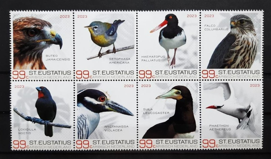 Caribbean Netherlands (St. Eustatius) 2023 FAUNA Animals BIRDS (II) – MNH