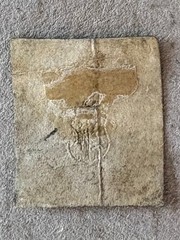 Schleswig-Holstein 1 / 1850 Embossed Coat of Arms Stamp / Used / Faults