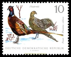 EBS East Germany DDR 1968 – Small Game Animals – Michel 1357-1362 – MNH**