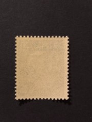 SUDETENLAND WWII GERMAN OCCUPATION Local fantasyovpt AUSSIG 20 Rpf. MNH /s1 #426