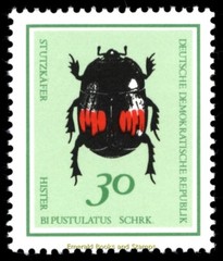 EBS East Germany DDR 1968 – Beautiful Beetles – Michel 1411-1416 – MNH**