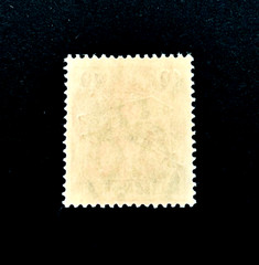Germany DANZIG Stamp – 1920 Airplane Overprint Blue Air Mail Sn C1 MNH r17
