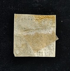 Bergedorf 5ND 1887 Crest, Damaged Back