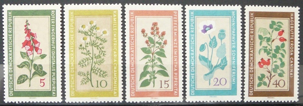 Germany DDR stamps – Local Medicinal Flowers_1960 – MNH.