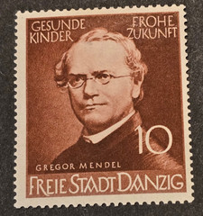 WW2 Third Reich Nazi German Danzig 1939 Health & Science Set Mi 269-271