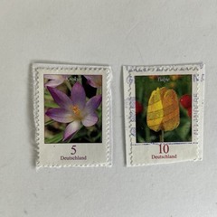 13 Germany stamps~2005-2019~Flowers~nasturtium~cornflower~bleeding heart~cosmos