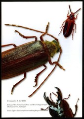 GERMANY MINISTER CARD 2021 FAUNA – BEETLE – BIG SIZE !!! VERY RARE!! u1176