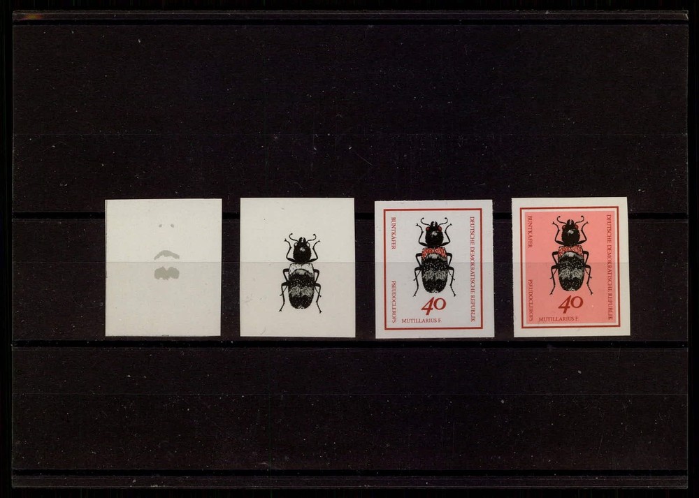 GERMANY PH 1416 – INSECTS BEETLE 1968 – PHASE PRINTS !!! CPL. SET !! RARE ! p814