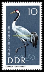 EBS East Germany DDR 1967 – Protected Birds – Michel 1272 1277 – MNH**