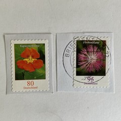 5 Germany stamps~2019~Flowers~hawkweed~cornflower~nasturtium~knapweed~day lily