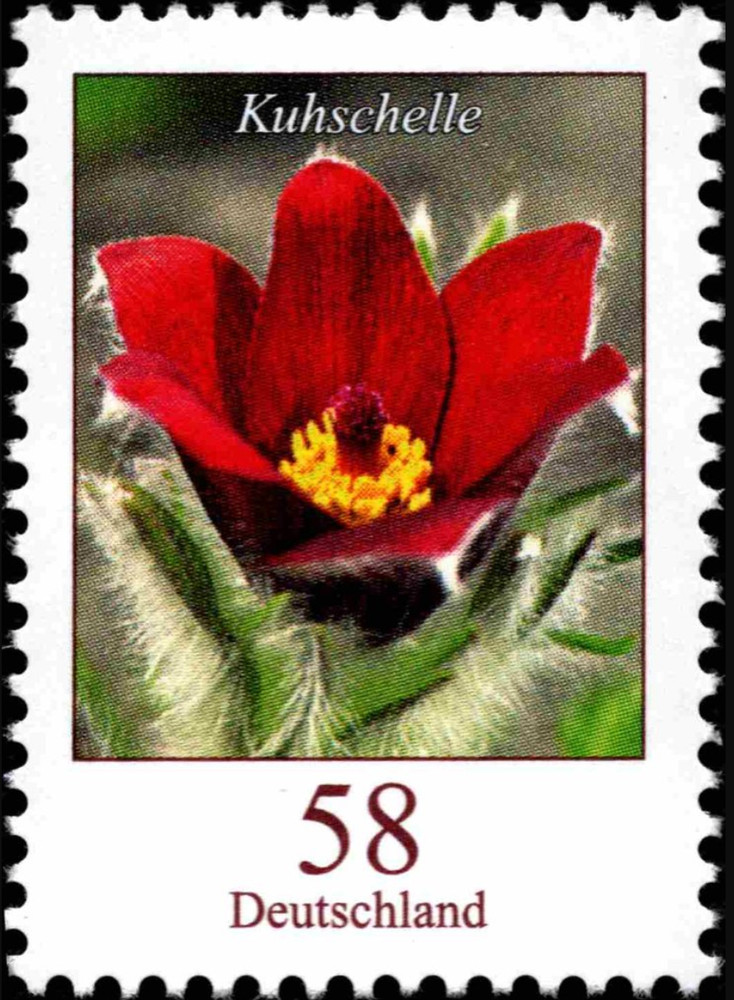 BRD FRG #Mi2968 MNH 2012 Pulsatilla Vulgaris Pasque Flower [2408]
