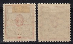Danzig 1922 Mi.No. 100 Ya+b*