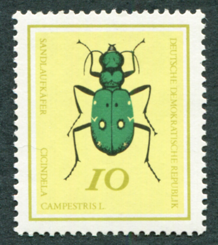 GERMANY East DDR 1968 10pf SGE1132 mint MNH FG Beetles Cicindela campestris #B05