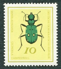 GERMANY East DDR 1968 10pf SGE1132 mint MNH FG Beetles Cicindela campestris #B05