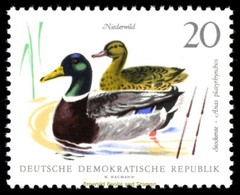EBS East Germany DDR 1968 – Small Game Animals – Michel 1357-1362 – MNH**