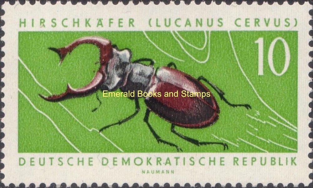 EBS East Germany DDR 1963 – Stag Beetle – Michel 978 – MNH**