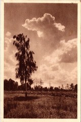 GERMANY 1935 POSTAL HISTORY UPRATED STATIONERY POSTCARD ADDR USA POSTMARK BERLIN