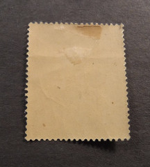 Scott#B254, 1944, 6 plus 4 pf. , Public Nurse Stamp, MHROG