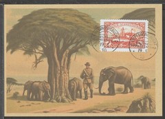 ✔️ Deutsches Reich Colonies 1910 South-West Africa RARE POSTCARD – REPRODUCTION