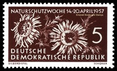 EBS East Germany DDR 1957 – Protect Nature Week – Michel 561-563 – MNH**