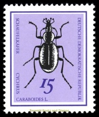 EBS East Germany DDR 1968 – Beautiful Beetles – Michel 1411-1416 – MNH**