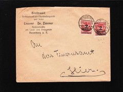 Germany Inflation Dr. Zimmer Naumburg 2 x 2 Million (Shade) Marks Cover z86