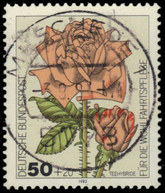 GERMANY B600 – Garden Roses „Tea-Rose Hybrid“ (pb46479)
