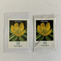 13 Germany stamps~2005-2019~Flowers~nasturtium~cornflower~bleeding heart~cosmos